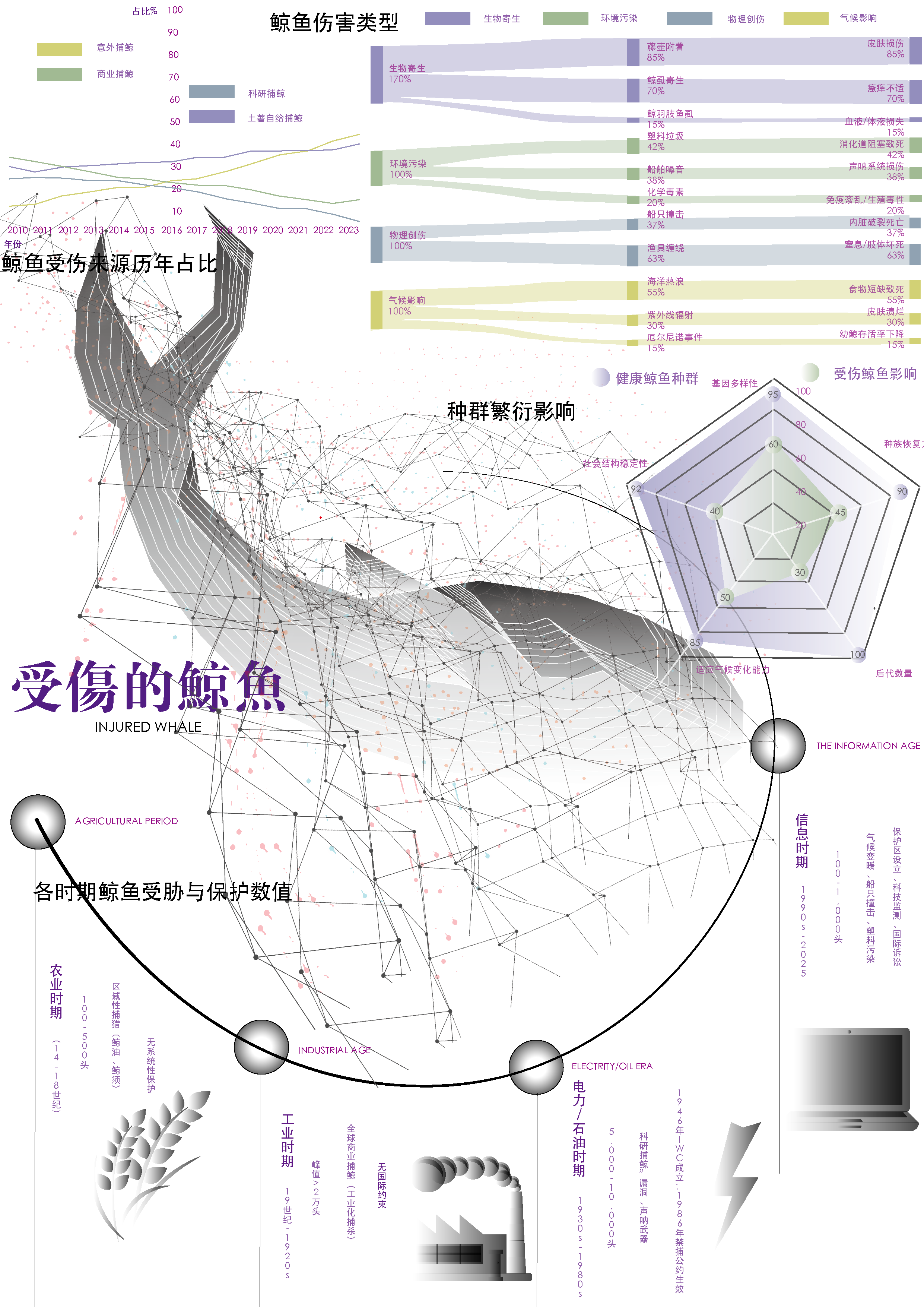鲸鱼信息可视化:受伤的鲸鱼与保护议题